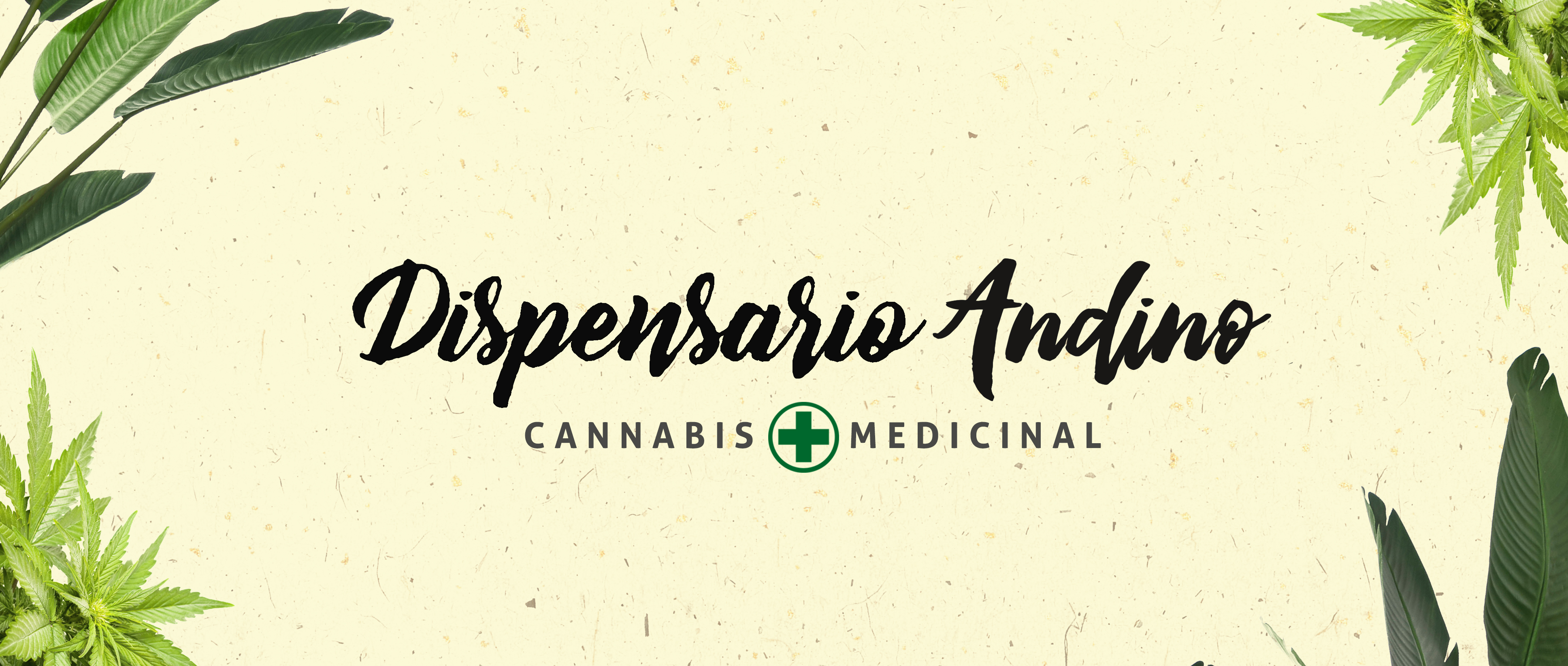 dispensarioandino-marihuana-medicinal-club-cannabico