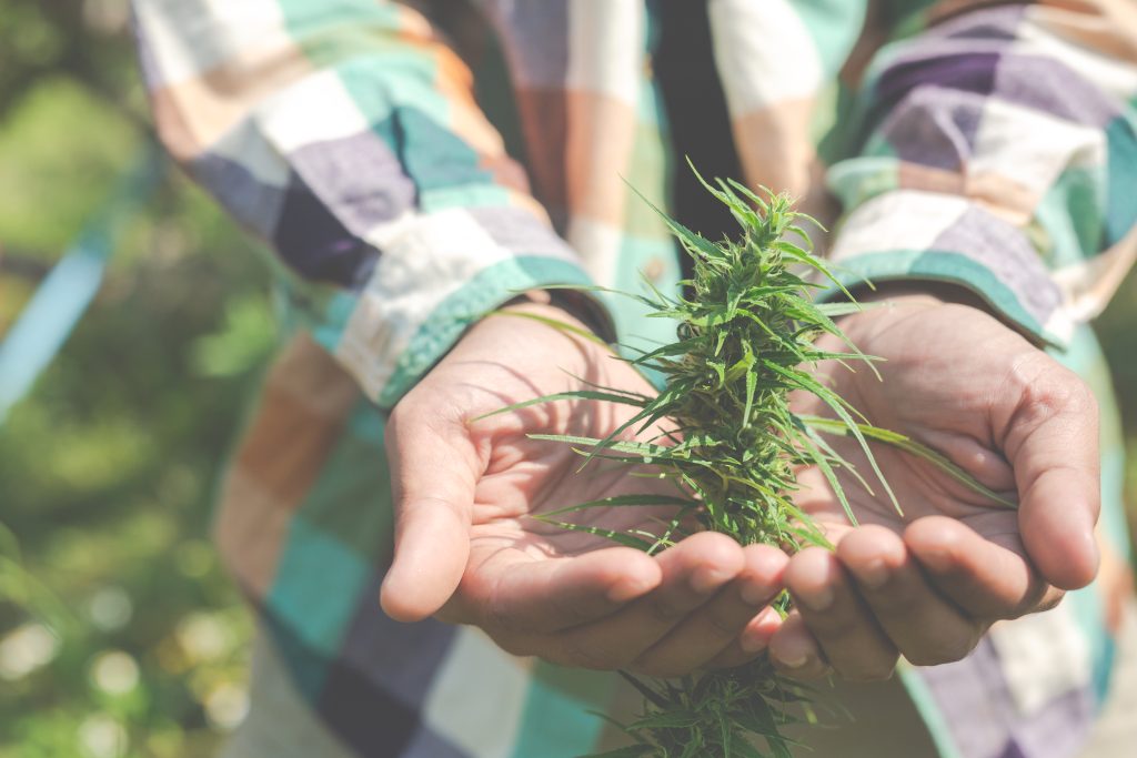 cannabis medicinal y estigmatización - Dispensario Andino