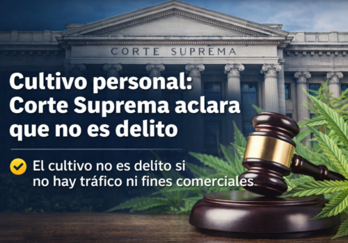 cultivo personal no es delito