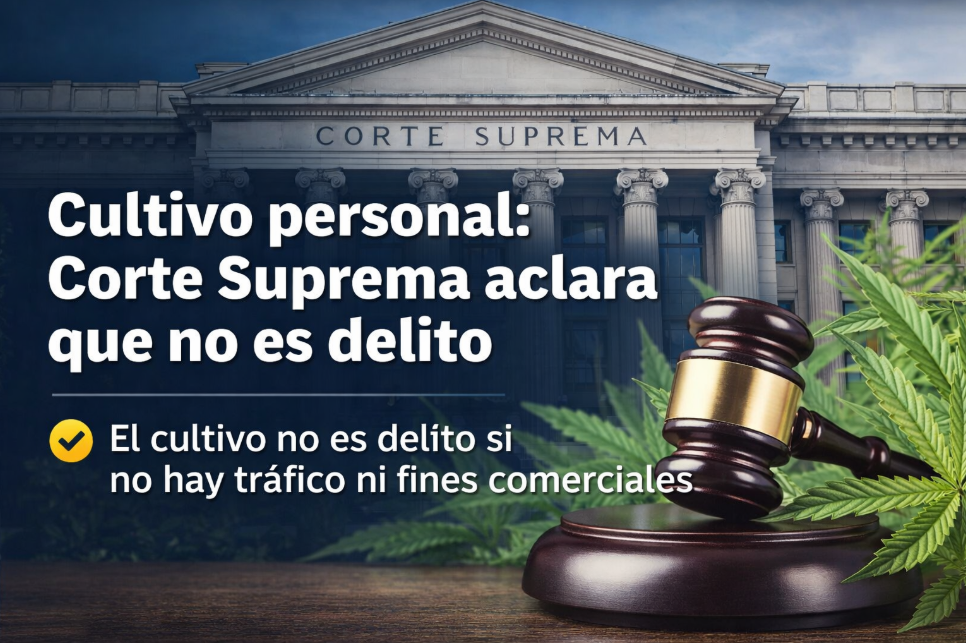 cultivo personal no es delito