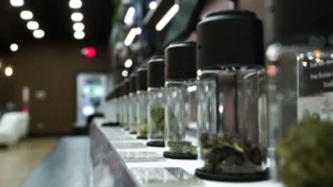 Frascos de cannabis medicinal exhibidos en vitrina de dispensario con enfoque selectivo