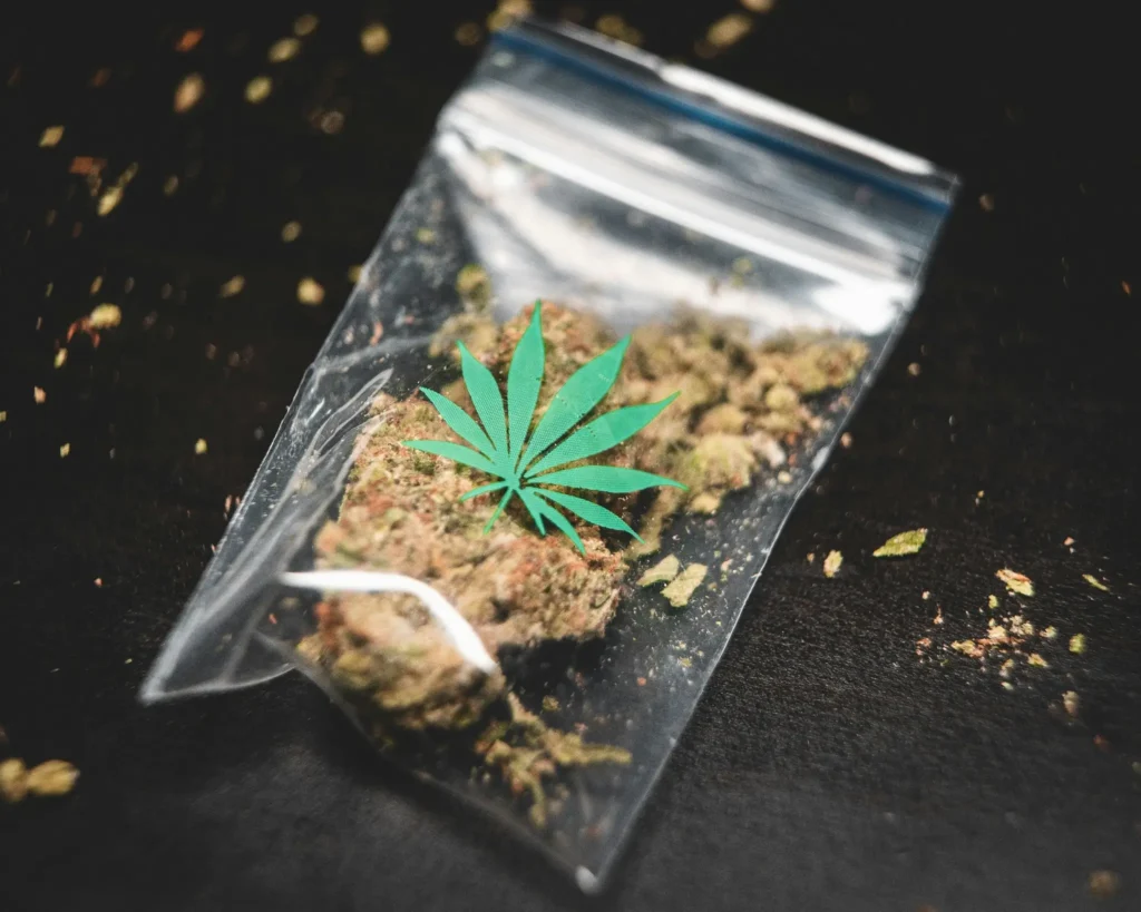 Como diferenciar cannabis de baja calidad