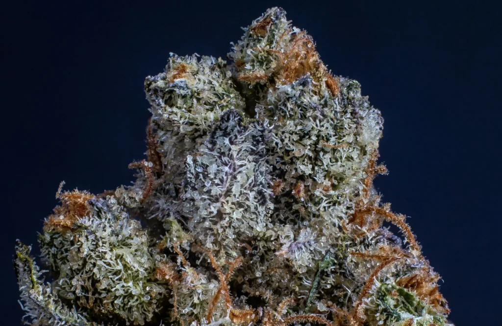 La diferencia entre Cannabis de baja calidad y de buena calidad