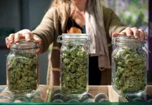 Almacenar marihuana medicinal en frascos de vidrio exhibidos sobre un mostrador.